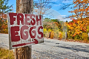 Sign for fresh eggs on telephone pole of gravel road with fall foliage