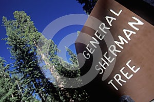 Sign for General Sherman Tree photo