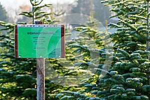 Sign with German lettering `Christmas trees sale` in front of frost covered evergreen fir trees on a Christmas tree farm