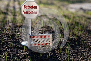 A sign with the German text `betreten verboten` keep off on a new lawn.