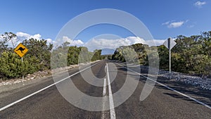 Sign indicates the danger of crossing kangaroos on a road in Kangaroo Island, Southern Australia