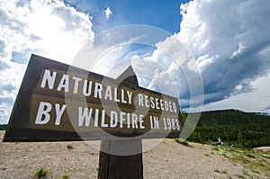 Sign indicating area in Yellowstone National Park was naturally reseeded by wildfire in 1988