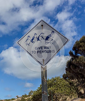 Sign indicating to give way to penguins