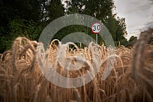 Sign informing about speed limit on the road