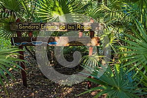 Sign leading to the hiking trail to a tectonic break next to the Sendero Enigma de las Rocas in Cienaga de Zapata, Cuba photo