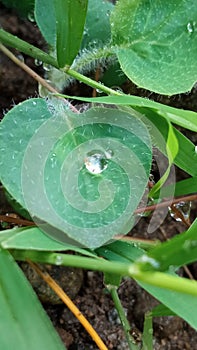 the sign of love from water