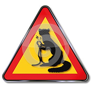 Sign marten bites into cable of a car