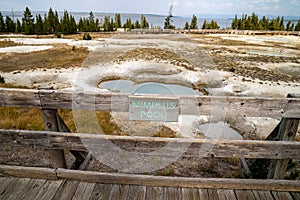 Sign for Mimulus Pool, a thermal feature in the West Thumb Geyser Basin of Yellowstone National Park