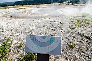 Sign for Mustard Spring, a geothermal hot spring inside of Yellowstone National Park