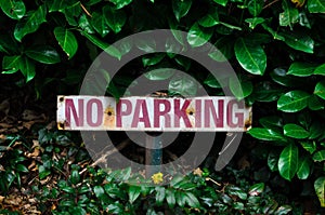 Sign no parking for drivers in the green forest in England