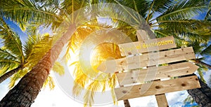 Sign, palm trees and tropical destinations