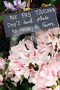 Florist shop flowers dont touch sign photo