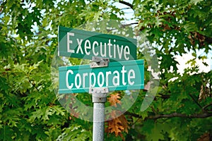 Sign post of corporate executive