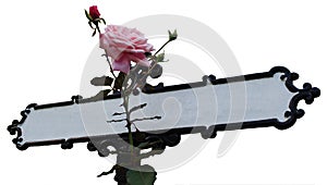 Sign Post with Roses and Thorns