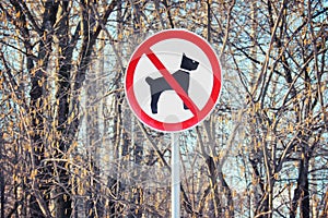 Sign prohibiting dog walking