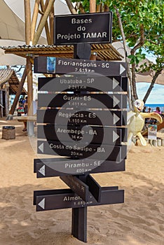 Sign of project Tamar at Praia do Forte, Brazil photo