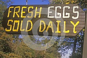 A sign that reads Ã¯Â¿Â½Fresh eggs sold dailyÃ¯Â¿Â½