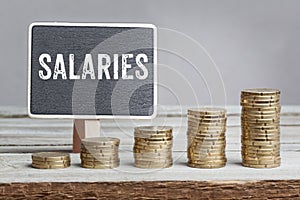 Sign Salaries with growth coin stacks