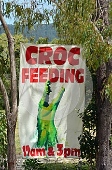 Sign of a Saltwater crocodile feeding