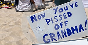 A sign saying ` now you pissed off grandma` at a protest