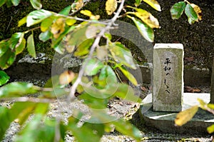 Sign says that Direction to the Peace at the Japanese Garden around Osaka, Japan. People are always navigated to the peace.