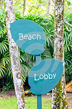 Sign sign hotel lobby and beach, made of wood, in the shape of a leaf, green, road to the beach, on a background of green trees