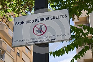 Sign in Spanish that prohibits carrying loose dogs in a city. Fine for not picking up excrement photo
