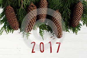 2017 sign text on green tree branches with pine cones frame on s