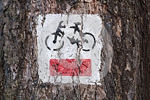 Sign on the tree for a red bike trail