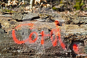 Sign on a treetrunk