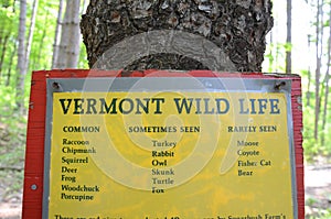 sign of Vermont wildlife posted on tree trunk
