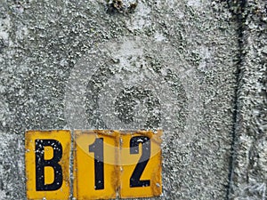 The sign of vitamin b12