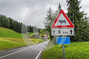 A sign warning drivers of cows for the next 3km. Taken in the Italian Alps