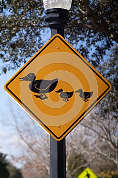 Sign warning about ducks crossing the road