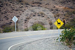 Sign warning of llama crossing along the National Route 40 also known as Ruta 40, Argentina photo