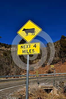 Traffic sign warning of cattle on the road