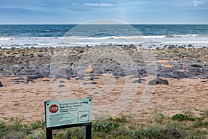Sign with Warning to Protect Turtles during Breading Season at Mon Repos Beach, Queensland, Australia