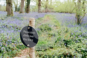 Sign warning walkers not to climb over fence because bluebells blooming in the forest. Nature reserve protection
