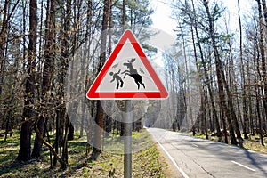 Sign about of wild moose on a forest road
