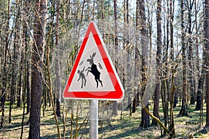 Sign about of wild moose on a forest road