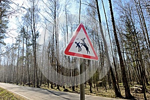 Sign about of wild moose on a forest road