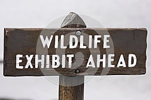 Sign WILDLIFE, EXHIBIT AHEAD