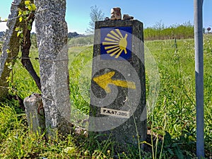 Sign with yellow scallop shell signing the way to Santiago de Compostela on the Saint James pilgrimage way, Camino Portuguese