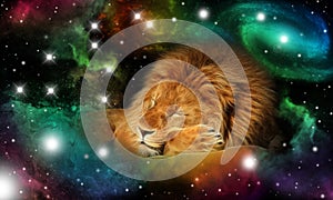 Sign of the zodiac leo