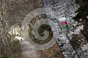 Signal of great hiking route in Basque mountains. Cordillera Cantabrica, Guipuzcoa photo