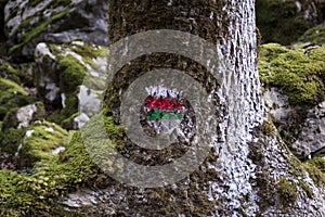 Signal of great hiking route in Basque mountains. Cordillera Cantabrica, Guipuzcoa photo