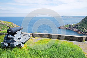 Signal Hill cannon in St. John's photo