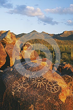 Signal Hill in Saguaro National Park