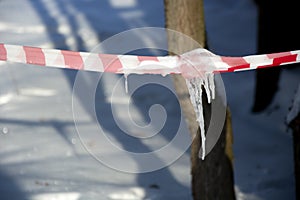 Signal striped tape near trees in the snow. Park hazard warning. Warning signs for people. Attention is dangerous