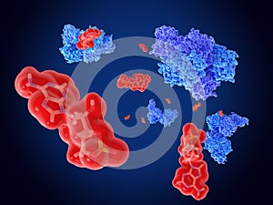 Signal transduction, cAMP activates various protein kinases